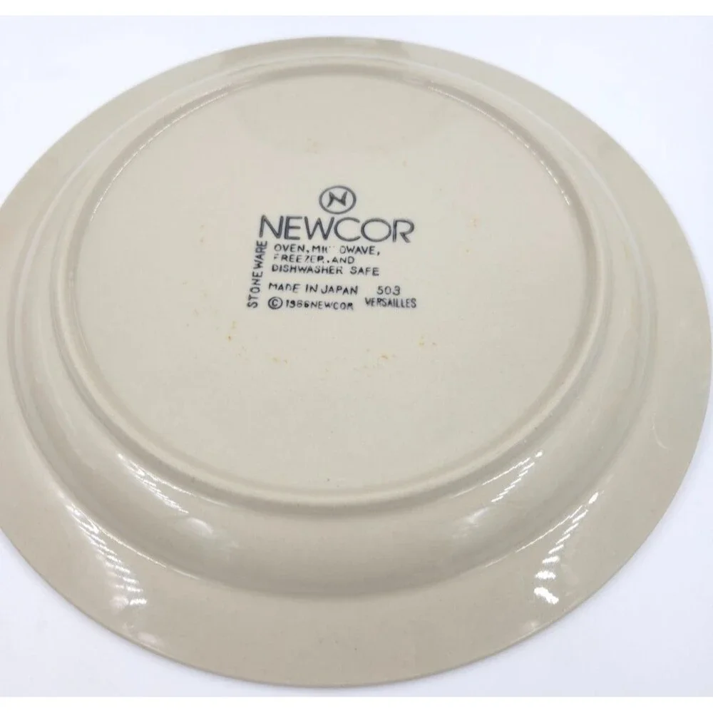 2 Newcor Stoneware Dinner Plates 10.5 